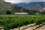 20. Cafayate Winery